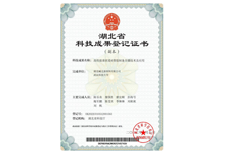 科技成果评价-国际先进水平